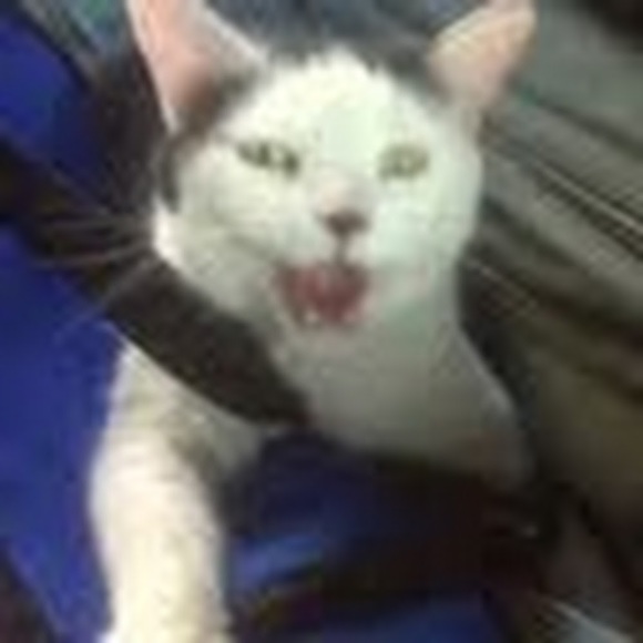 Meet your Posher, Beth - Picture 1 of 1